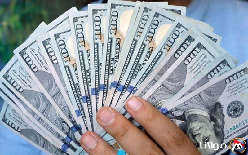 سعر الدولار في السوق السوداء اليوم الاثنين في مصر: أسعار الشراء والبيع بالتفصيل