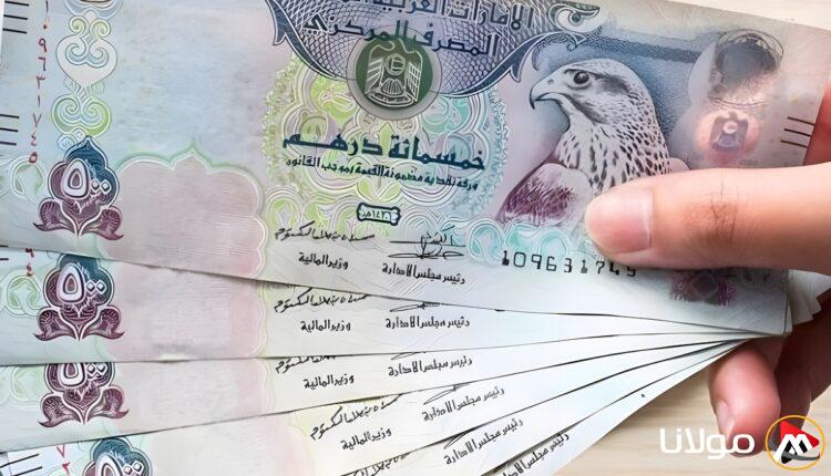 “الإماراتي عامل كام؟” سعر الدرهم الإماراتي مقابل الجنيه المصري اليوم الثلاثاء 18 مارس 2025 في السوق السوداء