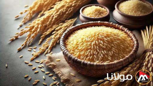 “اشتري للعزومات” سعر طن الأرز الشعير اليوم الأحد 16 فبراير 2025 في جميع الأسواق للتاجر والمستهلك