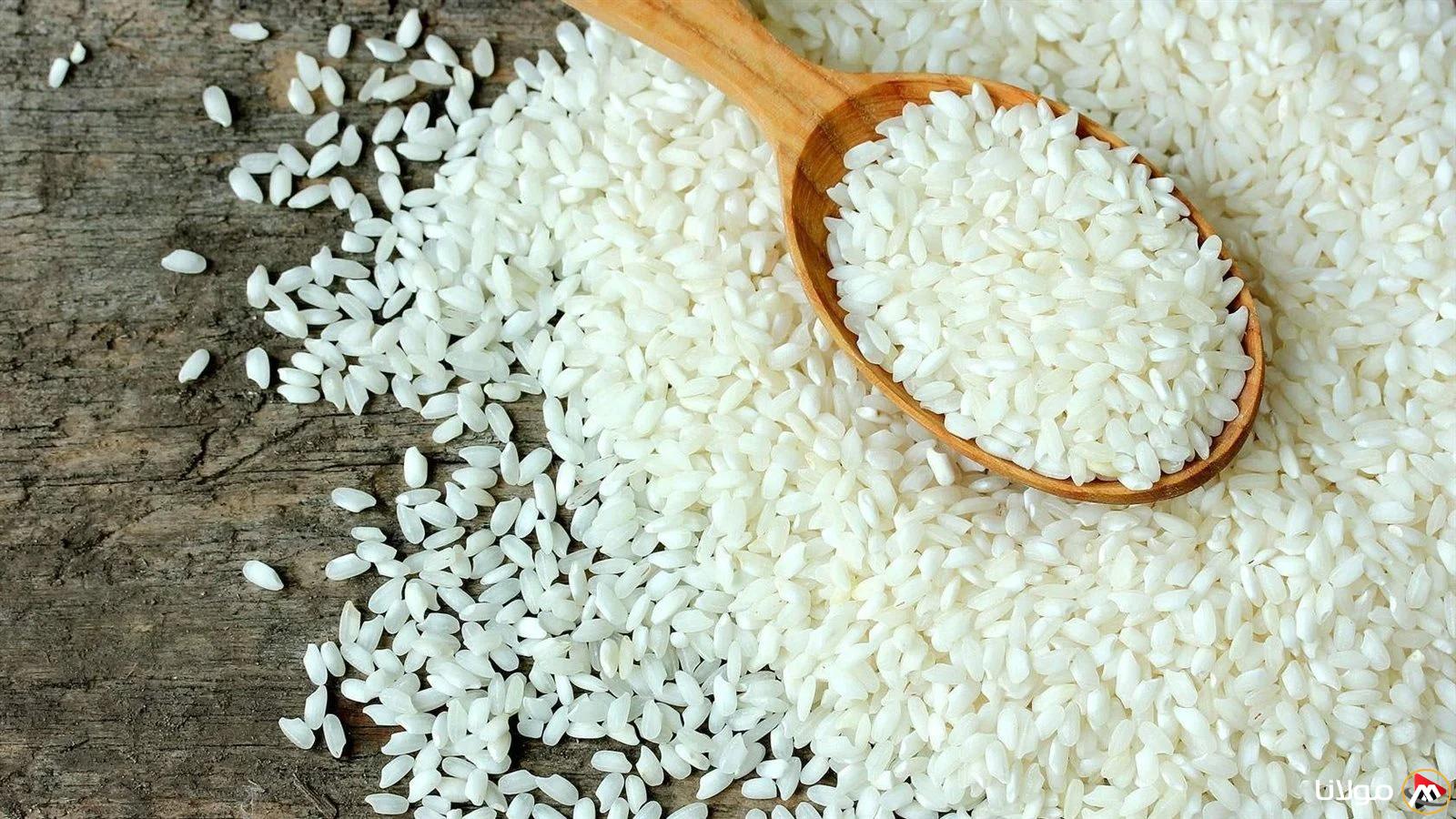 “الحبة العريضة بكام” سعر طن الأرز الشعير اليوم الثلاثاء 18 مارس 2025 وأسعار السلع الغذائية