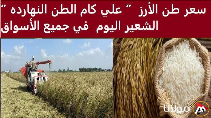 سعر طن الأرز الشعير اليوم السبت 22 مارس 2025 في التجزئة والجملة