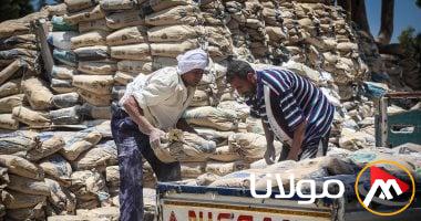 سعر الأسمنت اليوم السبت 19 أبريل 2025: حفاظ الأسعار على استقرارها