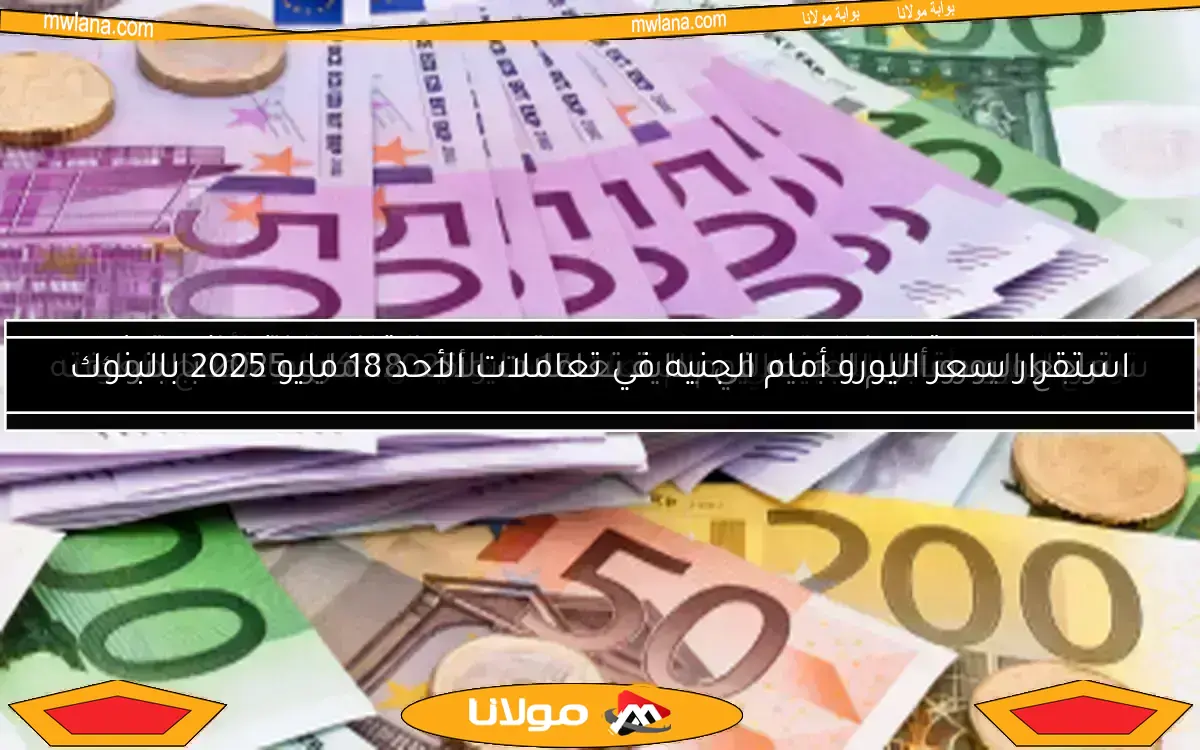 أسعار اليورو مقابل الجنيه المصري في البنوك اليوم السبت 12 أبريل 2025