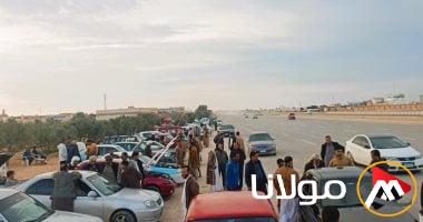 أميك: 1630 سيارة تحمل علامة “السيارات اليابانية” تم بيعها في يناير 2025