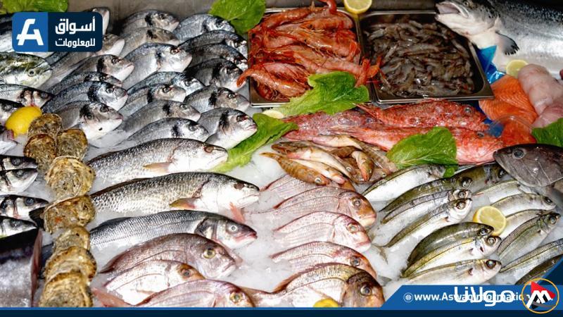 استقرار أسعار السمك البلطي في سوق العبور صباح يوم الإثنين