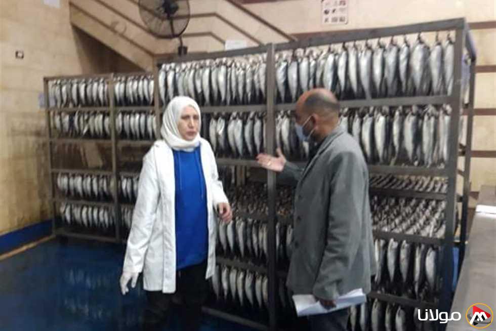 قبل شم النسيم.. ضبط 30 كيلو من الأسماك المملحة غير صالحة للاستخدام في الأقصر