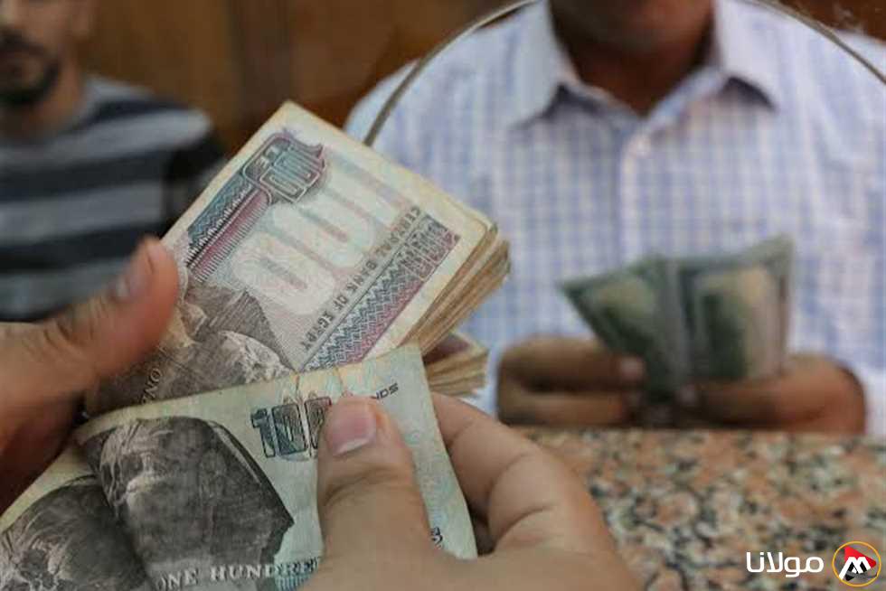 بشكل رسمي.. كيفية التقديم للحصول على منحة العمالة غير المنتظمة لعام 2025 والفئات المؤهلة.