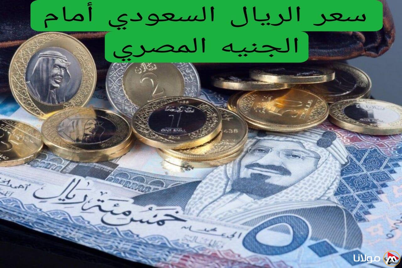 معدل صرف الريال السعودي مقابل الجنيه المصري اليوم في كافة البنوك.. زيادة كبيرة قبل العيد