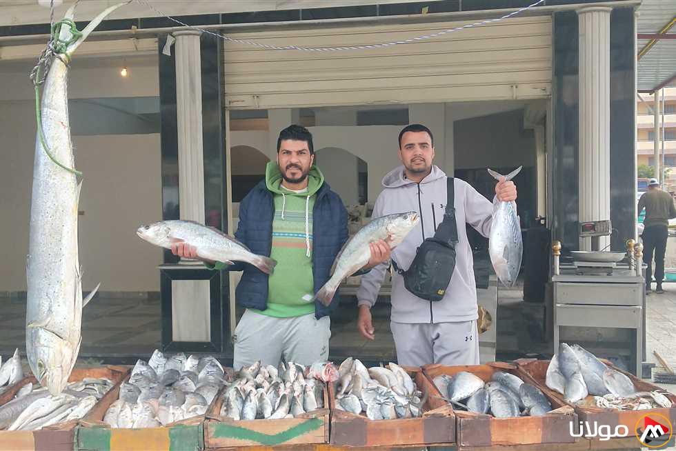 أسعار الأسماك والمنتجات البحرية في أسواق الإسكندرية بتاريخ السبت 26 أبريل 2025