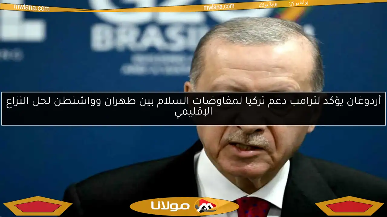 أردوغان: تركيا ستستخدم كل إمكاناتها لحل الأزمة الأوكرانية في أسرع وقت ممكن
