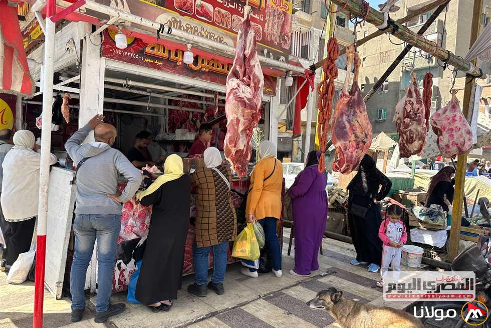 كم سعر الكيلو من اللحم؟… اكتشف أسعار اللحوم المحلية اليوم في أسواق قنا