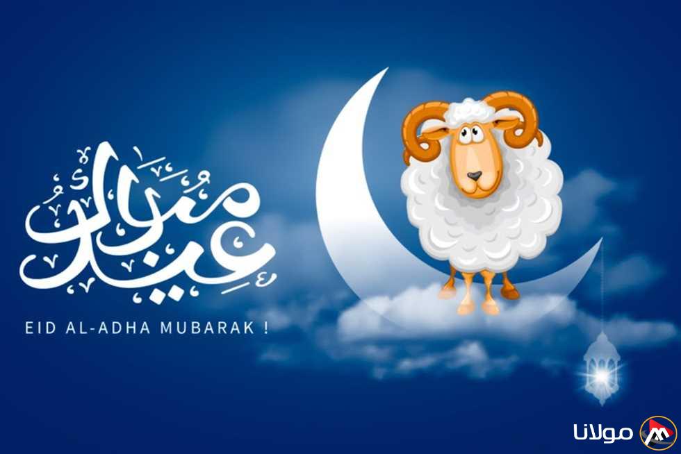 رسميًا: تاريخ عيد الأضحى 2025 في مصر وأطول فترة عطلة سنوية (تفاصيل)