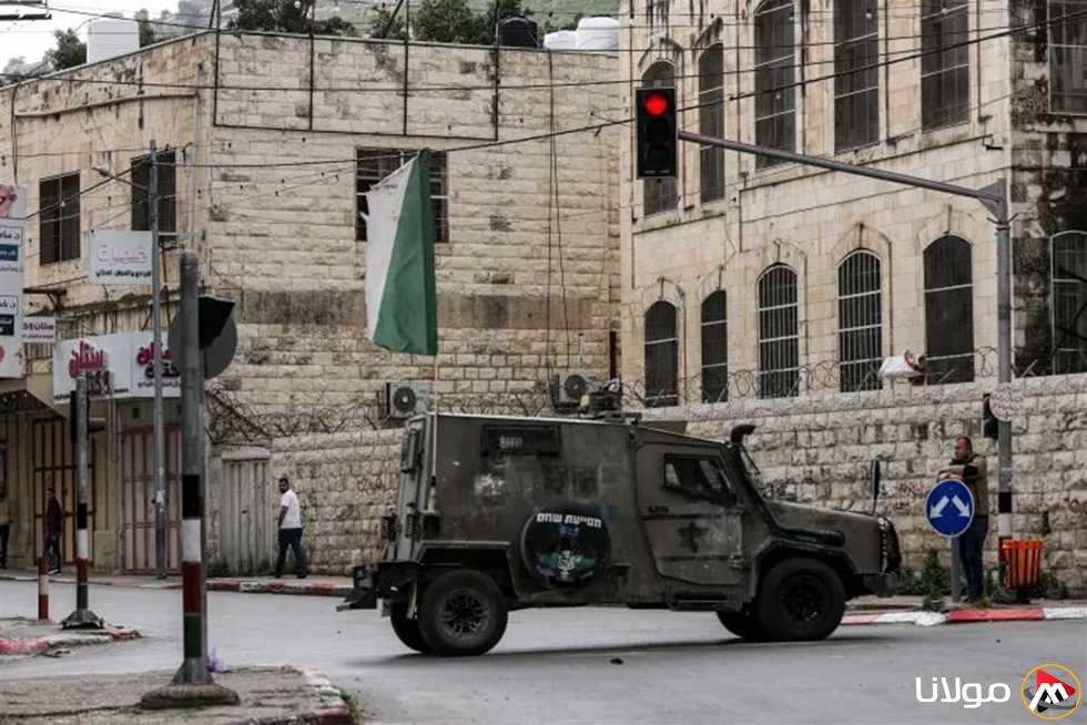 “بطاقة الإرهاب” .. أداة الاحتلال لتهديد سكان “طولكرم” عبر استخدام الخنازير (فيديو)