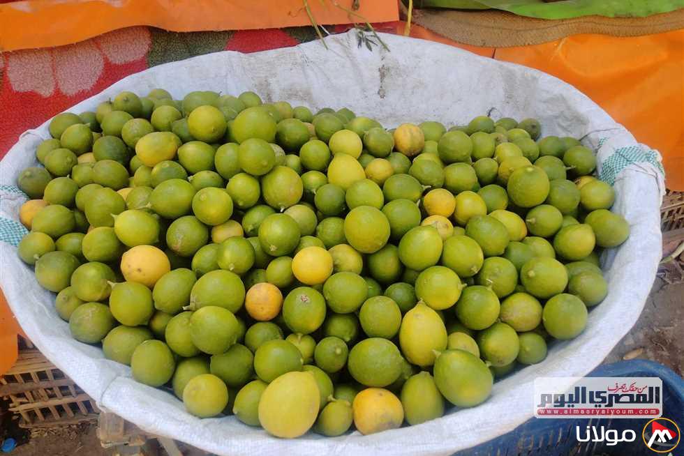 تواصلوا مع بدائل الليمون.. شعبة الخضراوات توصي بالخيارات المتاحة بعد زيادة الأسعار