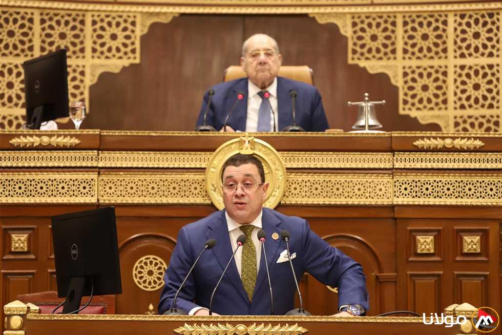 «مجلس الشيوخ» يستعرض استخدام الأصول العقارية في القطاع العام للأعمال