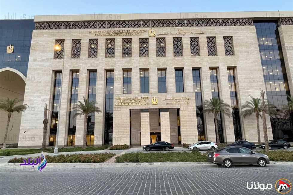اختبارات التوجيه والإرشاد المهني لطلاب الإعدادية والثانوية في صيف 2025: كل ما تحتاج معرفته!