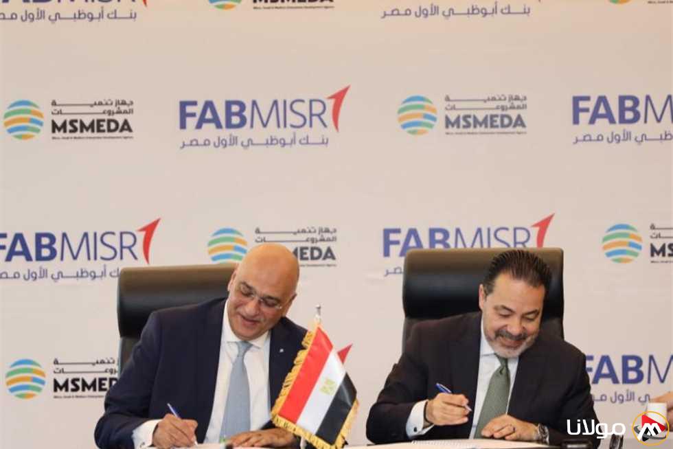 رئيس “تنمية المشروعات”: سنواصل التعاون مع شركاء التنمية لتعزيز استراتيجيات الشمول المالي.