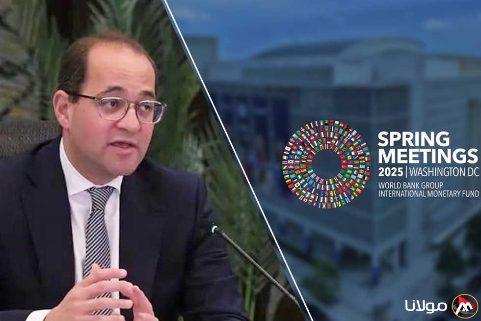 وزير المالية: مصر تعتبر نقطة انطلاق قوية للشركات البولندية للتوسع في أفريقيا والشرق الأوسط.