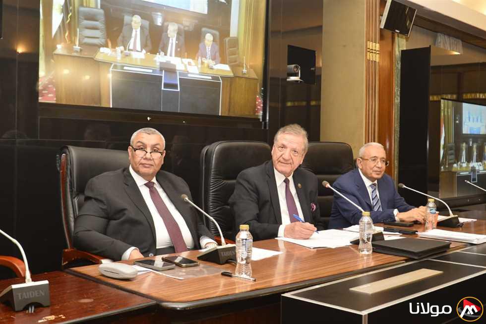 النواب يطالبون المالية بالتواصل مع الجهات المعنية لتطبيق الحد الأدنى للأجور
