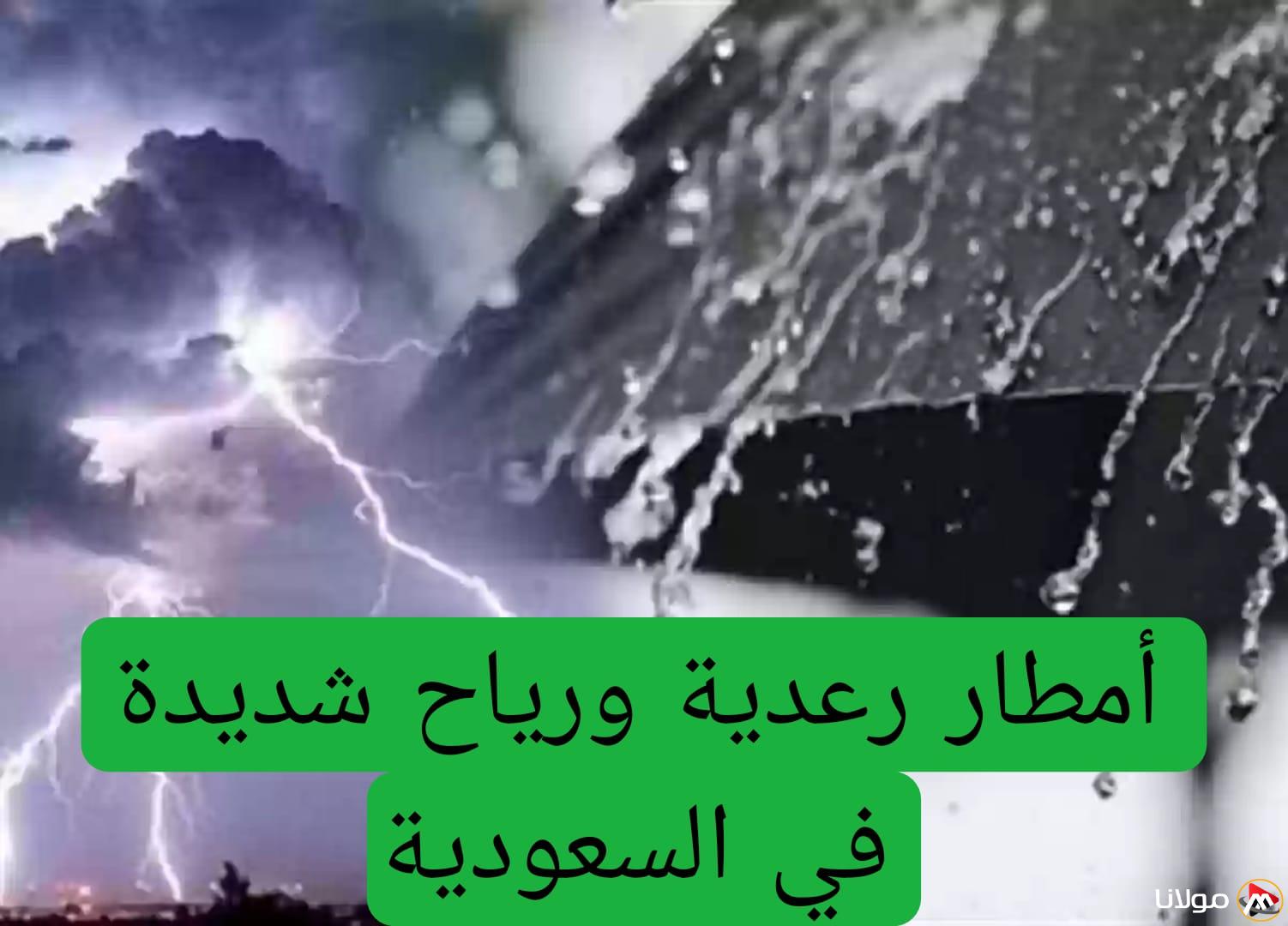 أمطار كثيفة وعواصف قوية… إنذارات فورية لجميع المسافرين إلى هذه المناطق خلال إجازة العيد بشأن الطقس في مدن سعودية معينة.
