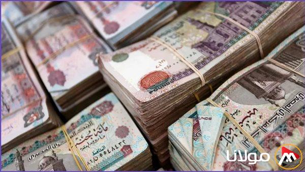 إقبال غير مسبوق على البنوك: شهادات ادخار أعلى عائد في مصر 2025 تضمن دخل شهري بعد خفض أسعار الفائدة
