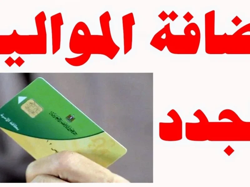 اكتشف كيف تضيف مواليدك إلى بطاقة التموين 2025: خطوات سهلة لضمان حقوق طفلك!