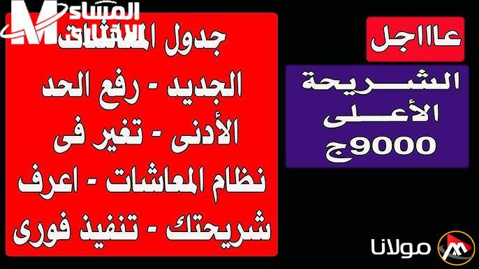 شاهد الآن: تفاصيل جدول المعاشات الجديد 2025، أرقام مذهلة تكشف المستور!