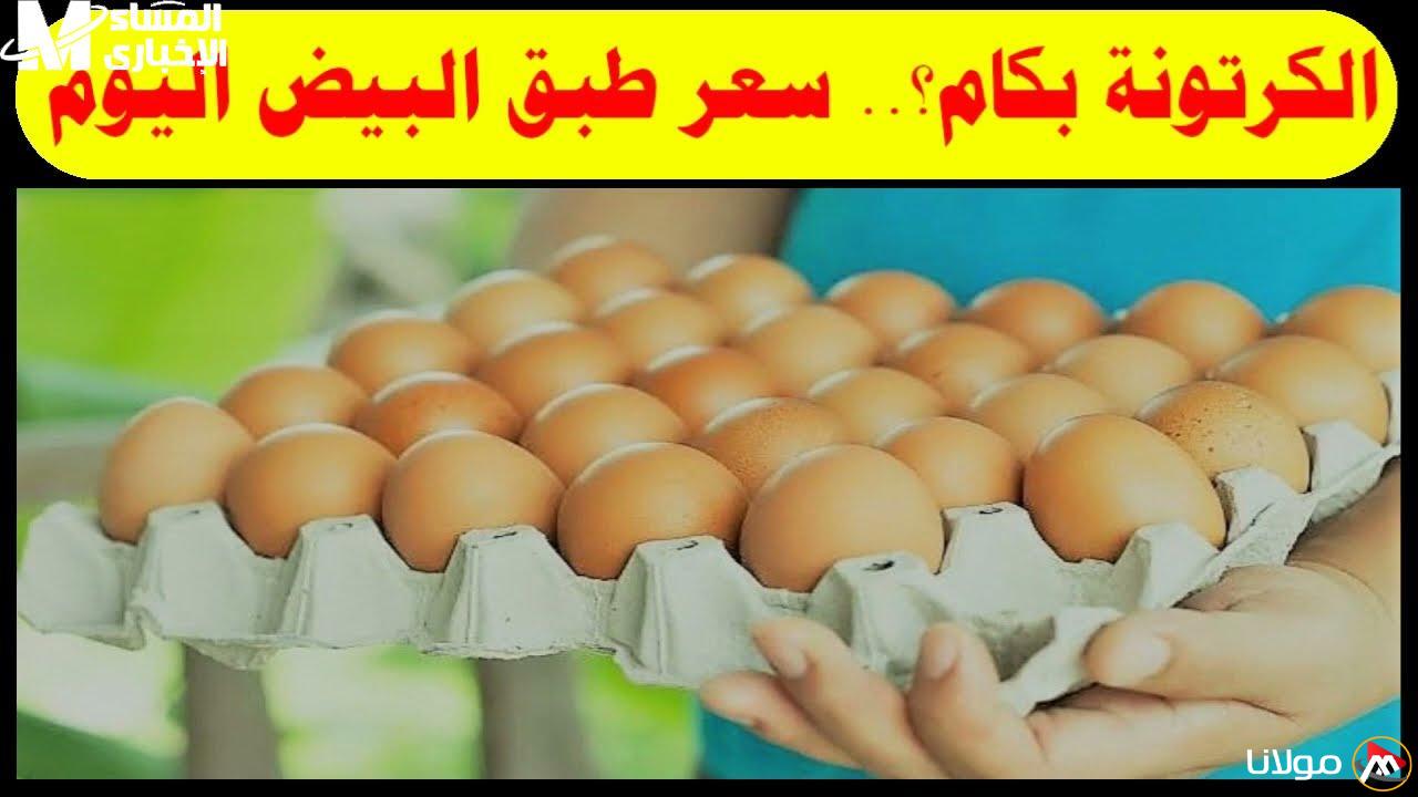 أسعار البيض اليوم الخميس 24 أبريل 2025: اكتشف تكلفة كرتونة البيض في السوق!