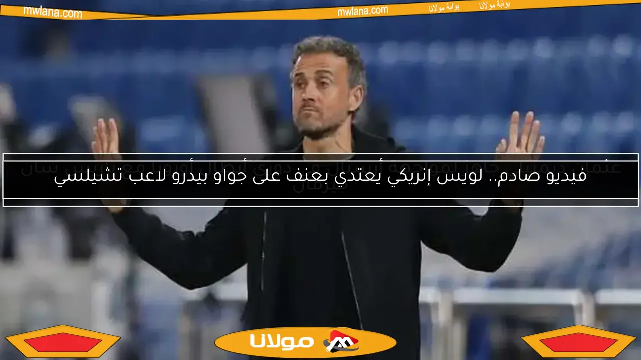فيديو صادم.. لويس إنريكي يعتدي بعنف على جواو بيدرو لاعب تشيلسي