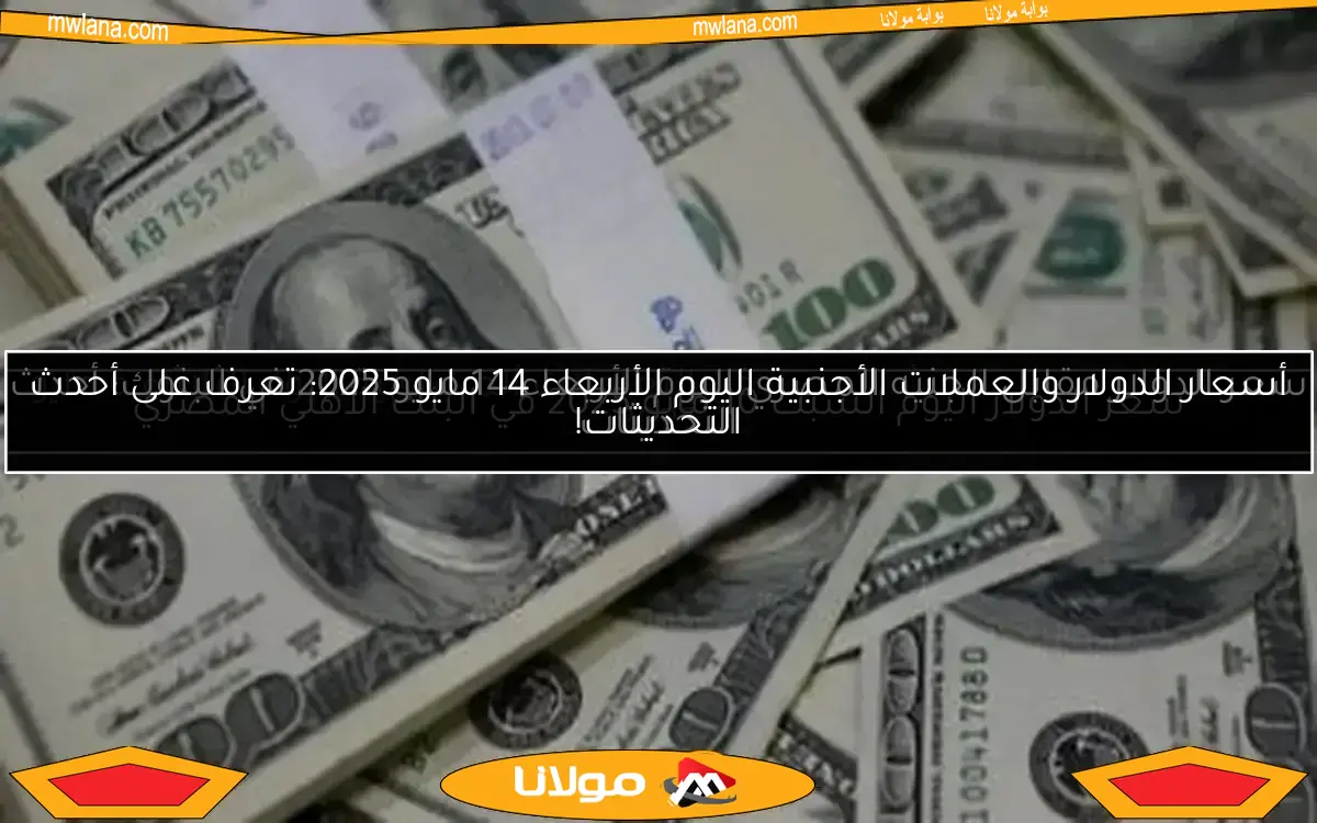 سعر الدولار في البنك الأهلي المصري اليوم الثلاثاء 6 مايو 2025 يصل إلى 50.63 جنيه للشراء