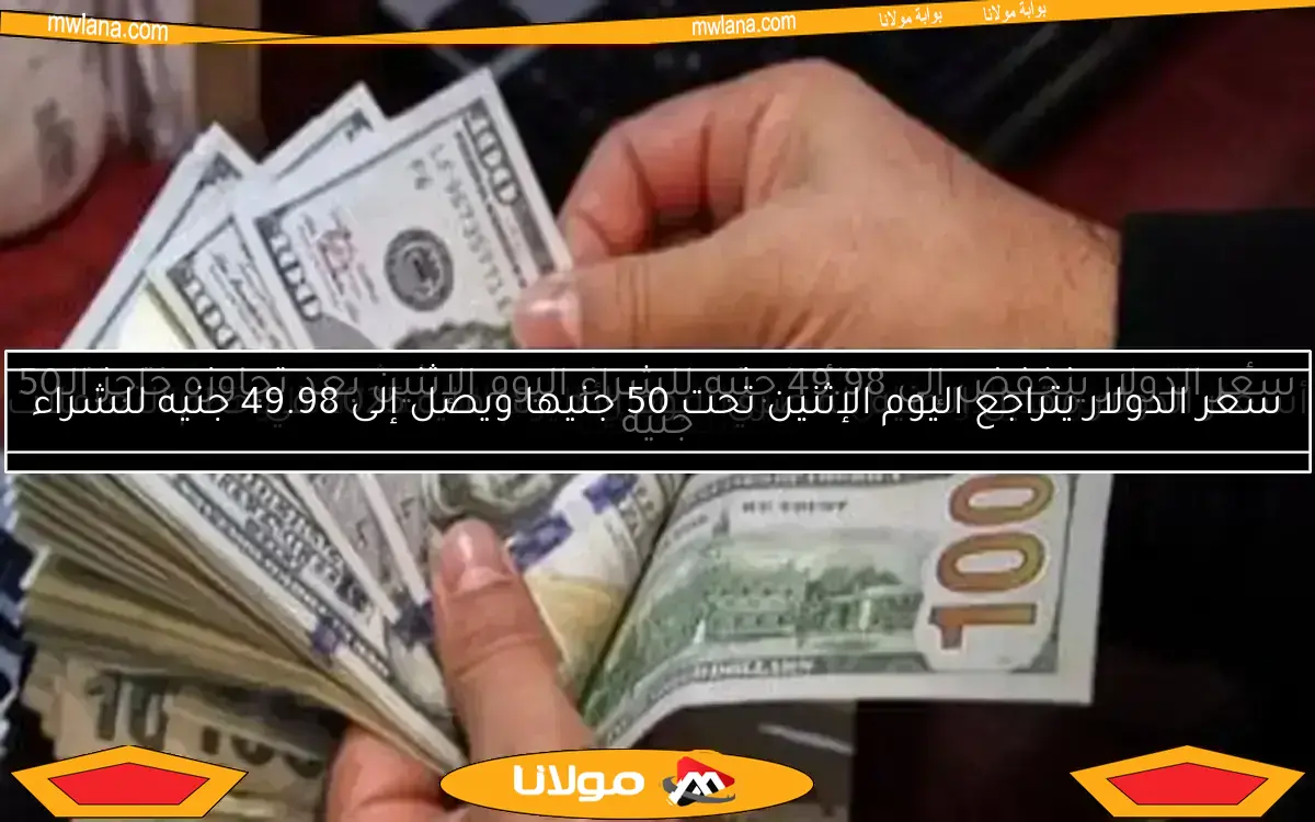 سعر الدولار مقابل الجنيه في البنوك المصرية لحظة بلحظة وأحدث التحديثات اليومية