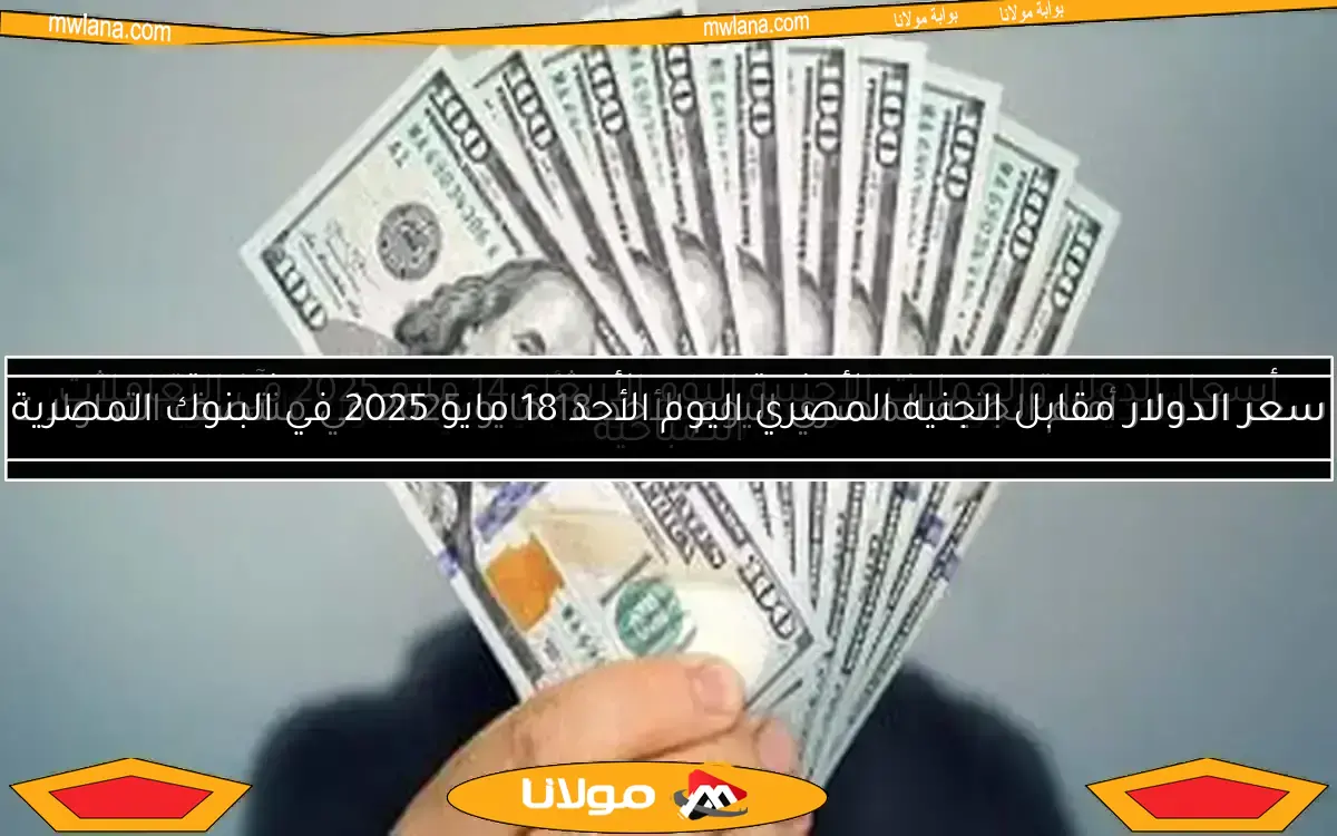 سعر الدولار مقابل الجنيه المصري اليوم الأحد 11 مايو 2025 في منتصف التعاملات المالية