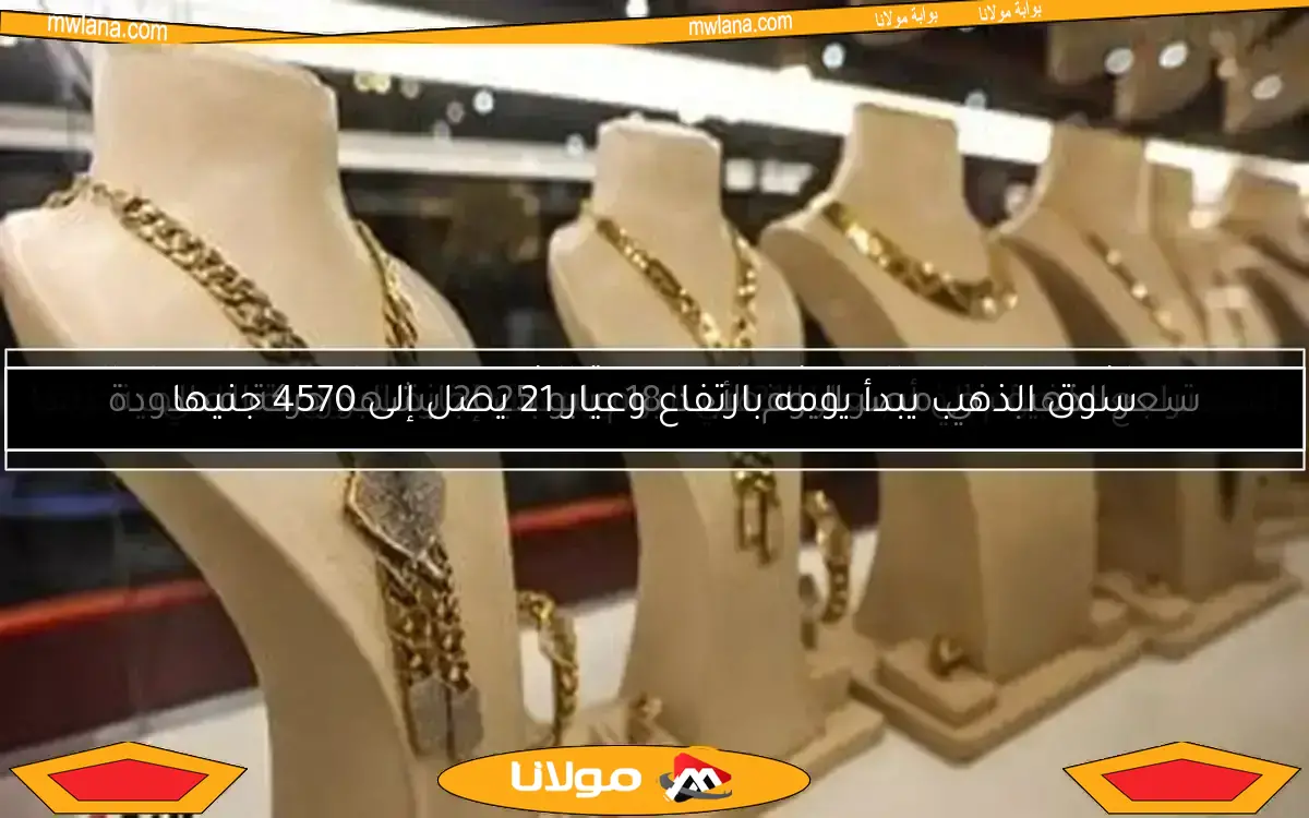 سوق الذهب يبدأ يومه بارتفاع وعيار 21 يصل إلى 4570 جنيها