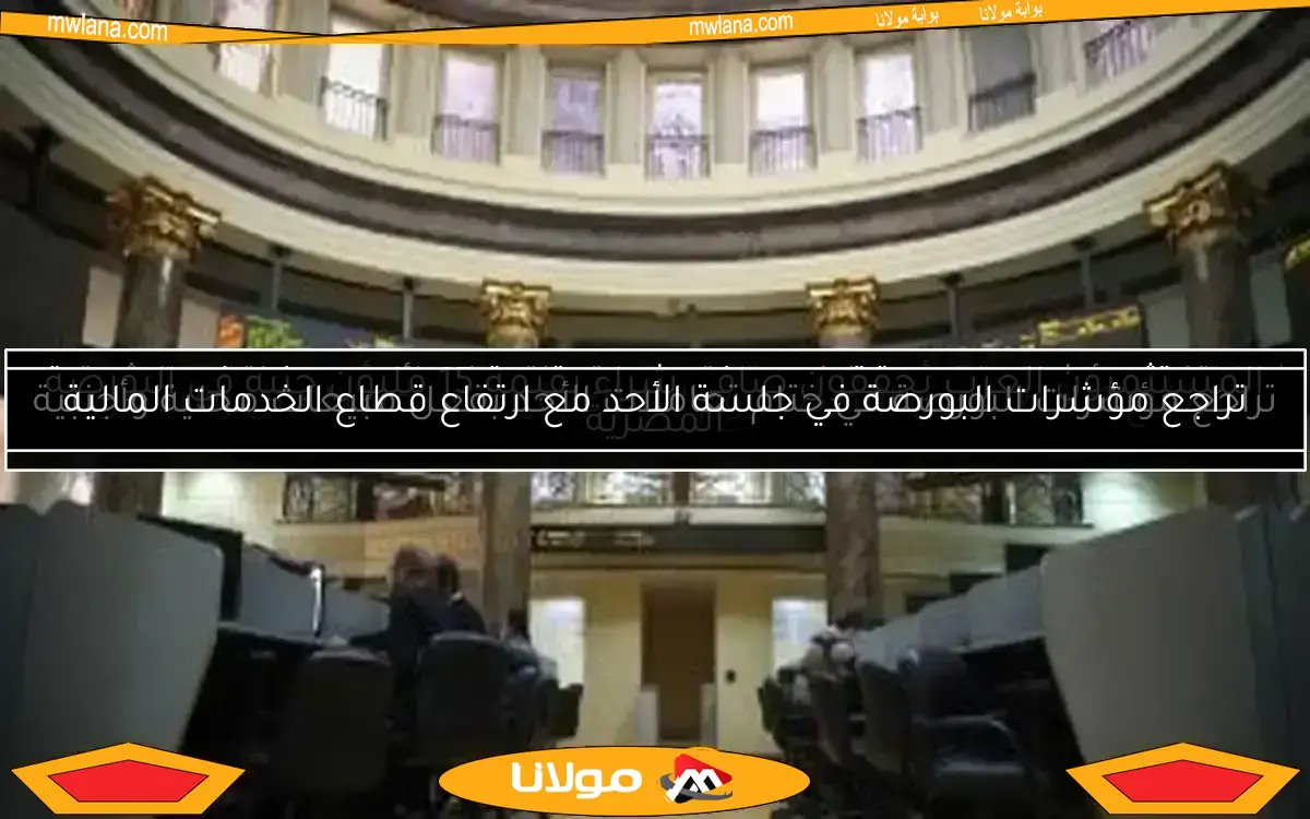 المستثمرون العرب يحققون صافى شراء بقيمة 15 مليون جنيه في البورصة المصرية
