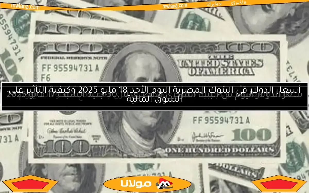 اكتشف أحدث سعر للدولار في البنوك المصرية اليوم السبت 10 مايو 2025