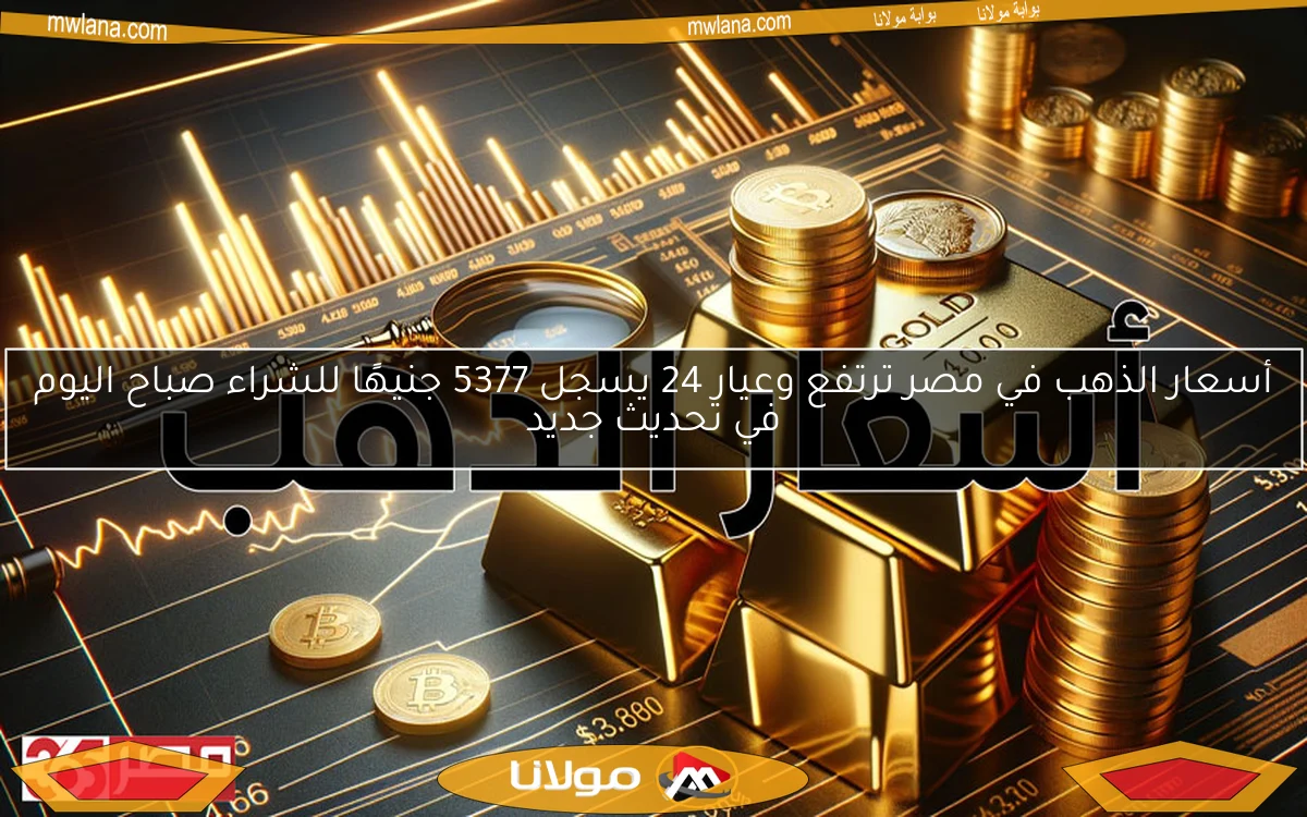 أسعار الذهب في مصر ترتفع وعيار 24 يسجل 5377 جنيهًا للشراء صباح اليوم في تحديث جديد