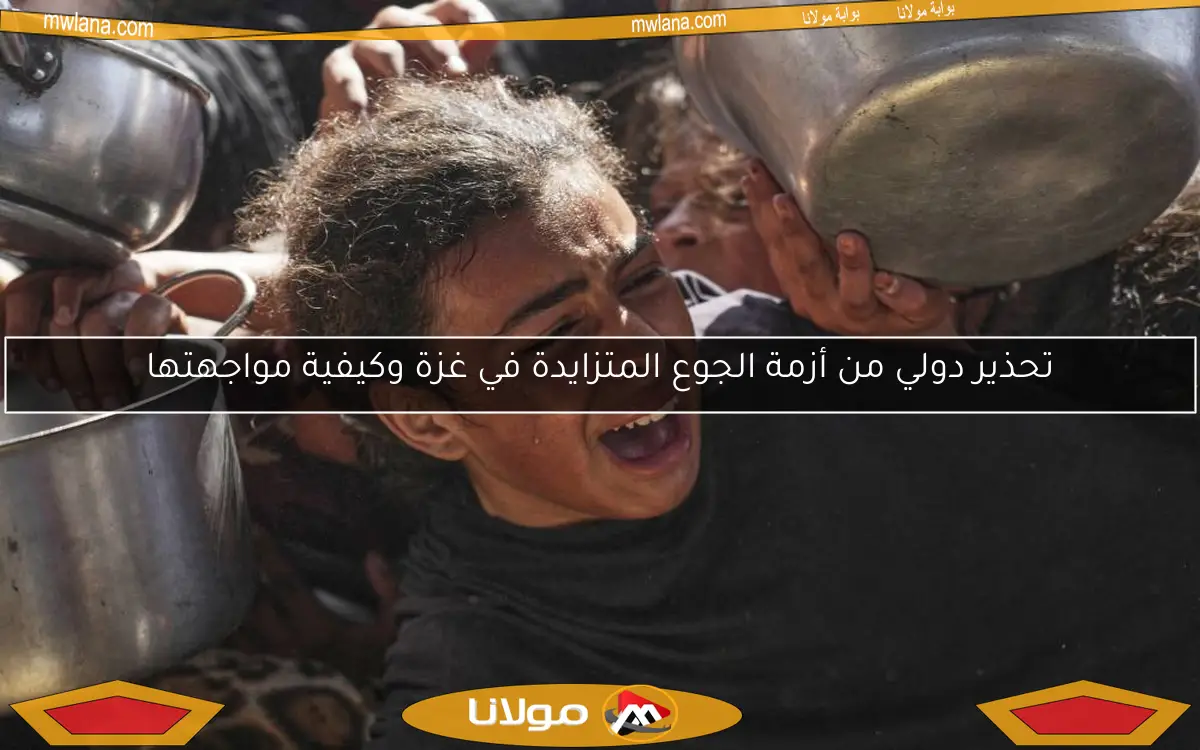 تحذير دولي من أزمة الجوع المتزايدة في غزة وكيفية مواجهتها