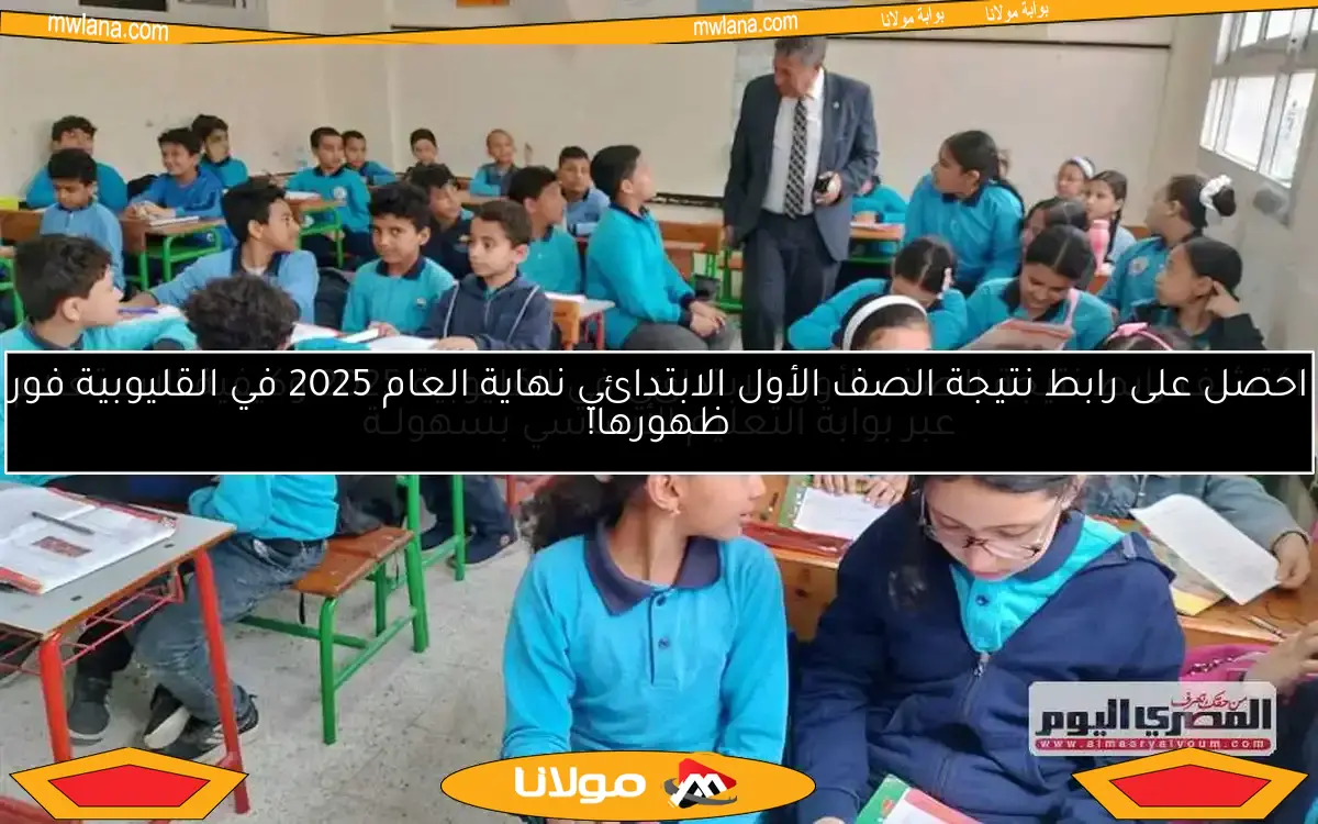 اكتشف رابط نتيجة الصف الأول الابتدائي في القليوبية 2025 وكيفية الاستعلام عبر بوابة التعليم الأساسي بسهولــة