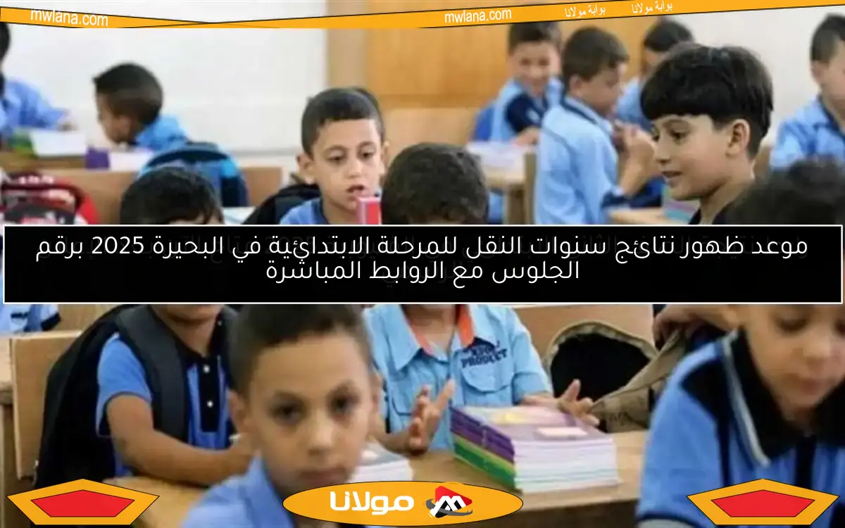 رابط نتيجة الصف الثاني الابتدائي في القليوبية 2025 متاح الآن بعد الإعلان الرسمي