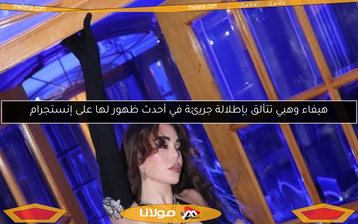 هيفاء وهبي تتألق بإطلالة جريئة في أحدث ظهور لها على إنستجرام