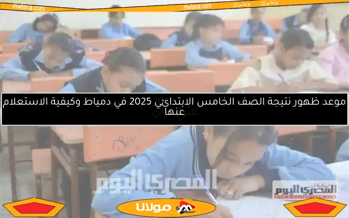 نتائج الصف الخامس الابتدائي 2025 في الجيزة برقم الجلوس مع رابط مباشر للاستعلام