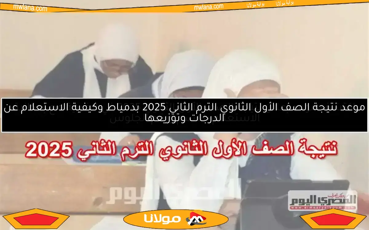 موعد إعلان نتيجة الصف الأول الثانوي 2025 الترم الثاني في محافظة الوادي الجديد قريباً خلال أيام