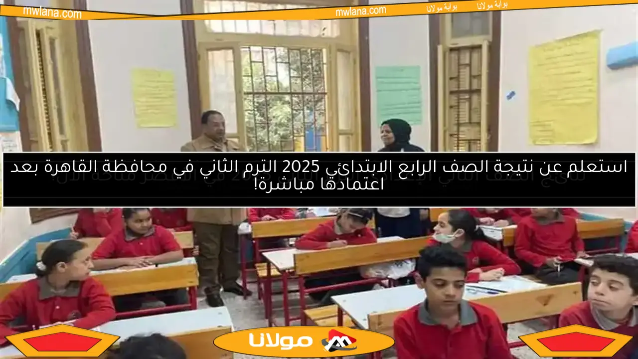 اكتشف موعد نتائج سنوات النقل للمرحلة الابتدائية في الغربية 2025 مع رقم الجلوس وروابط مباشرة للحصول عليها