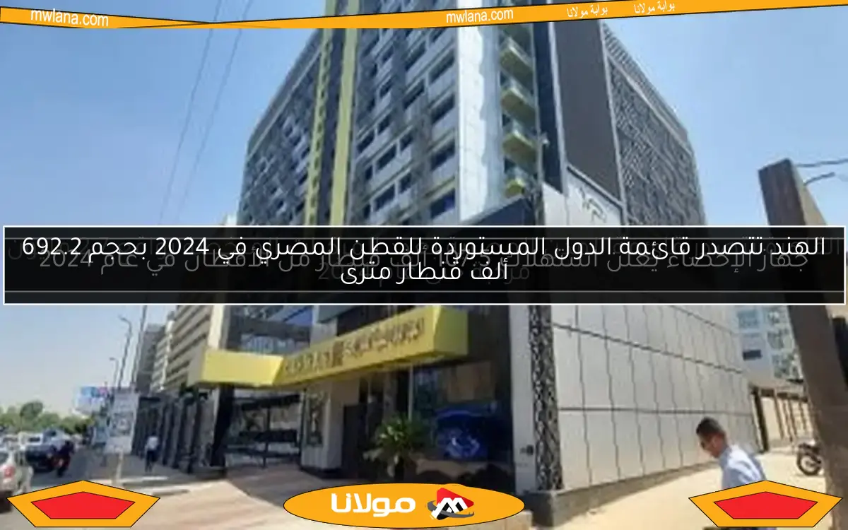 الهند تتصدر قائمة الدول المستوردة للقطن المصري في 2024 بحجم 692.2 ألف قنطار مترى