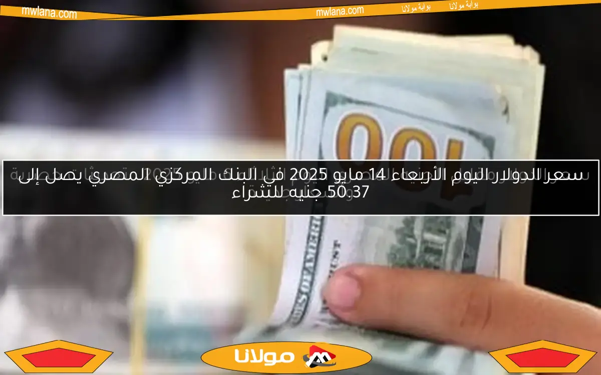 سعر الدولار مقابل الجنيه المصري اليوم الثلاثاء 6 مايو 2025.. تحديثات حصرية وأسعار جديدة