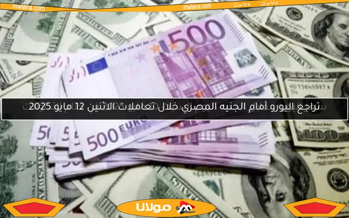 تراجع اليورو أمام الجنيه المصري خلال تعاملات الاثنين 12 مايو 2025