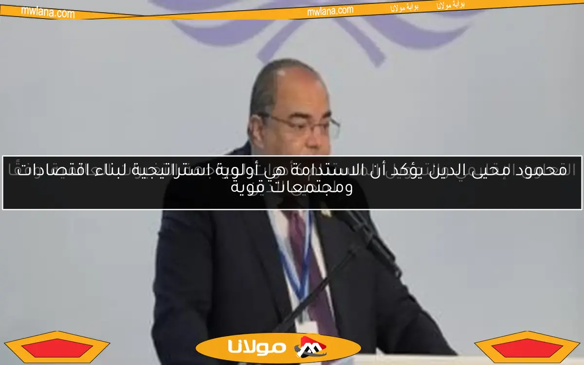 التعاون الإقليمي والتمويل المستدام كأدوات لمواجهة التغيرات العالمية، وفقًا لمحيى الدين