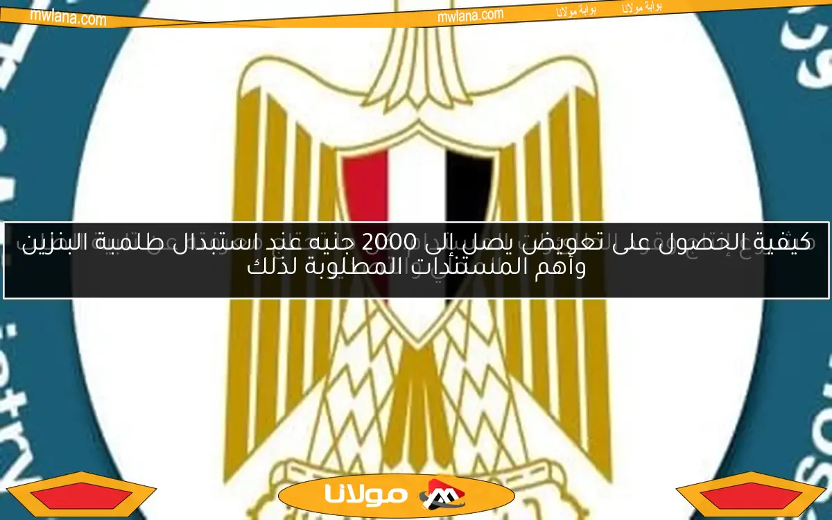 مشروع إنتاج وقود الطائرات المستدام: كل ما تحتاج معرفته عن تلبية الطلب المحلي والتصدير