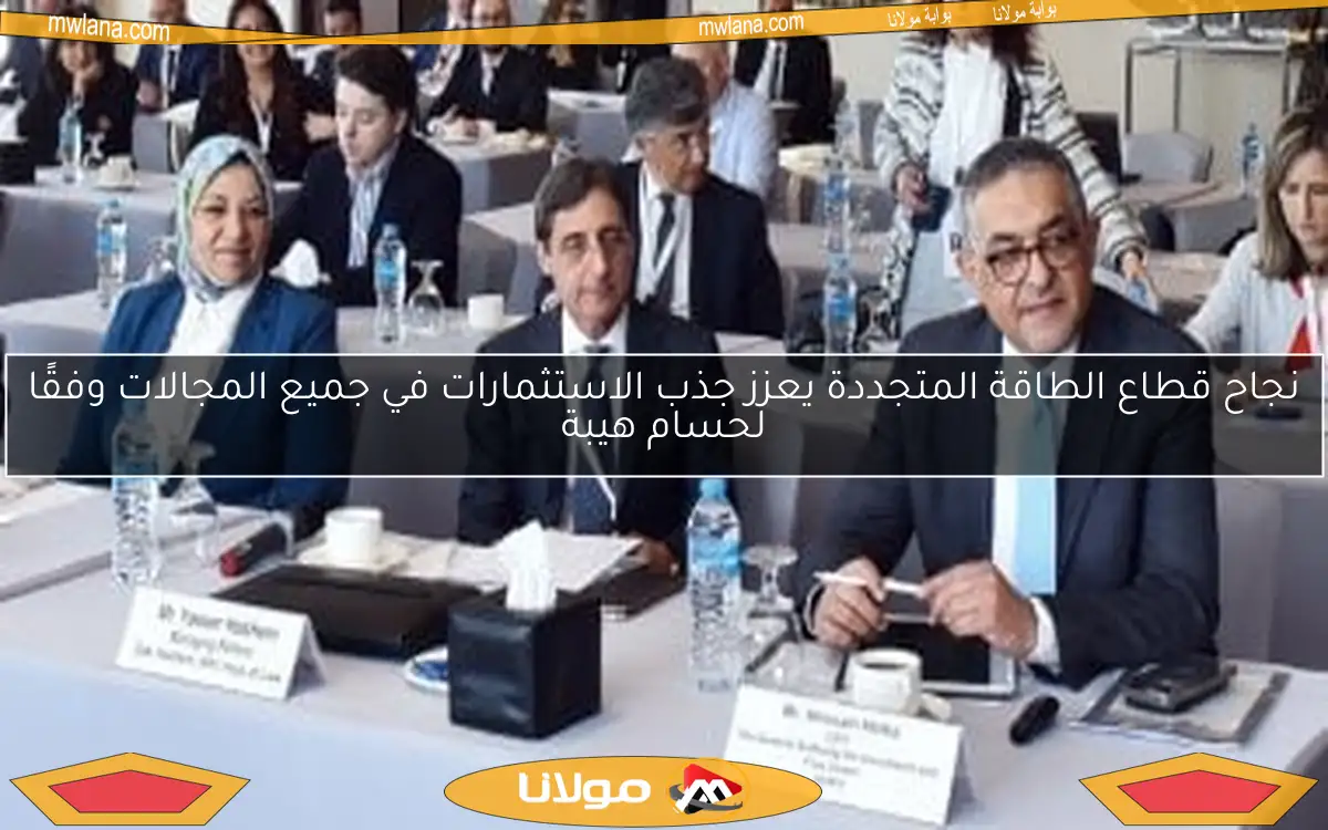 نجاح قطاع الطاقة المتجددة يعزز جذب الاستثمارات في جميع المجالات وفقًا لحسام هيبة
