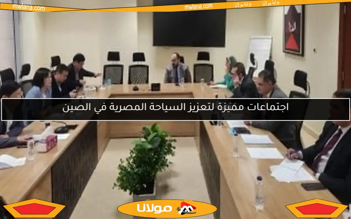 اجتماعات مكثفة لتعزيز السياحة المصرية في الصين
